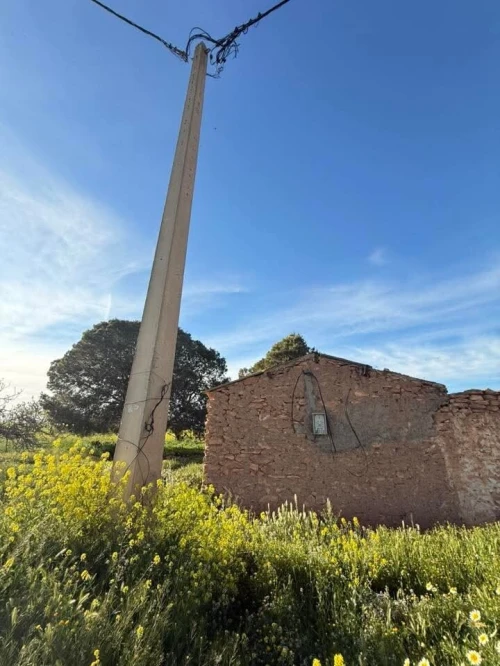 Vente Terrain Agricole Sidi Bel Abbès Tilmouni