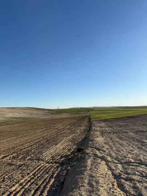 Vente Terrain Agricole Sidi Bel Abbès Zerouala