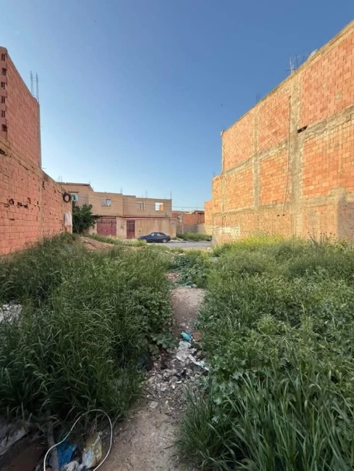 Vente Terrain Sidi Bel Abbès Amarnas
