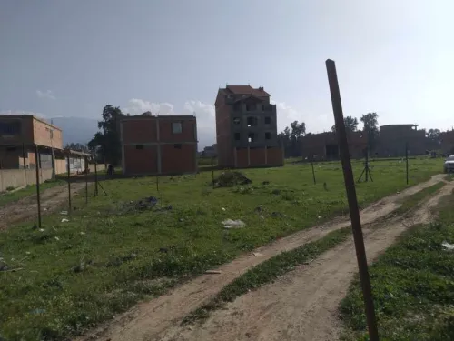 Vente Terrain Blida Boufarik