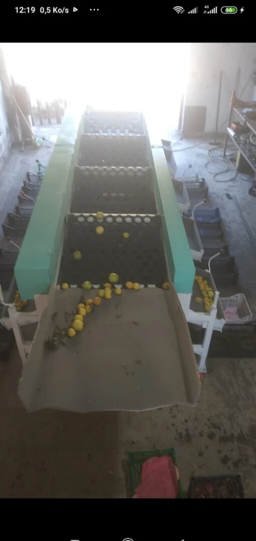 Machine triage (calibreuse) des fruits