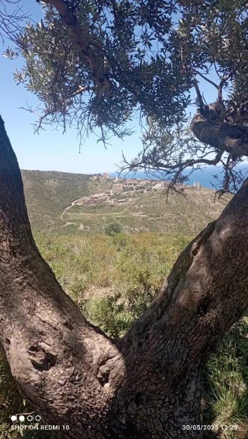 Vente terrain avec acte a azefoun 