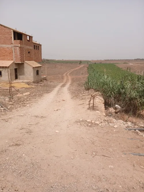 Vente Terrain Mostaganem Stidia