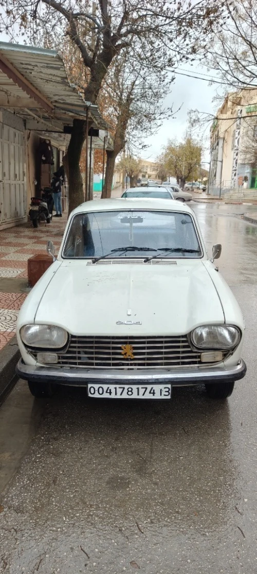 Peugeot 204 1974 204