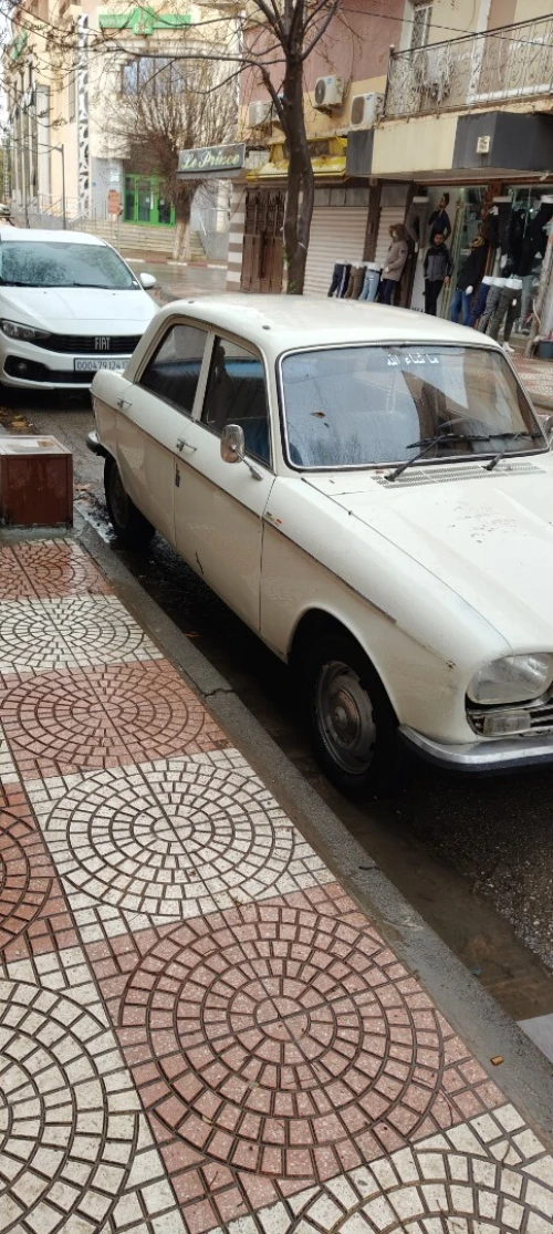 Peugeot 204 1974 204