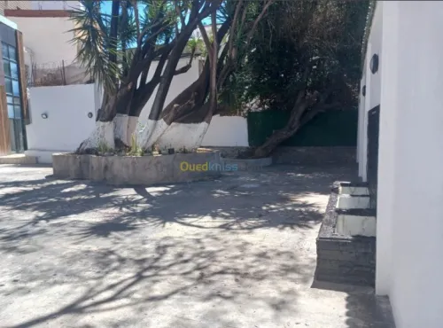 Location Local Alger El biar