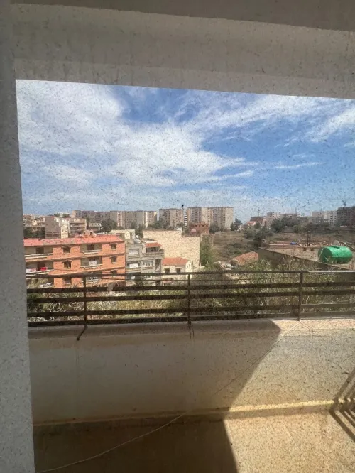 Location Villa Alger Draria