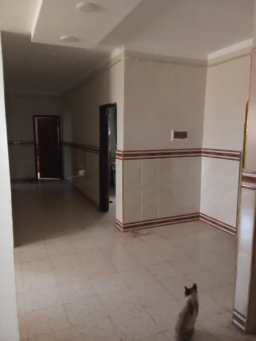 Vente Appartement F11 Laghouat Aflou
