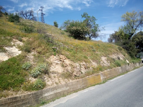 Vente Terrain Tizi Ouzou Ain el hammam