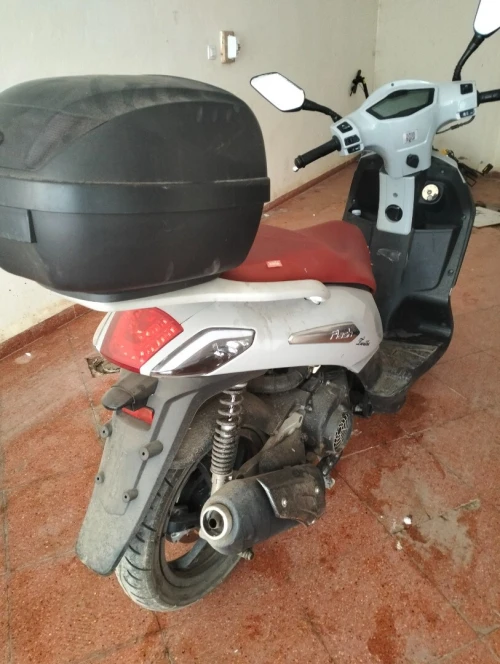 VMS flash Flash tuister 2022