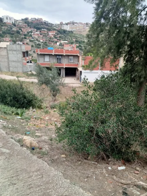 Vente Terrain Tipaza Cherchell