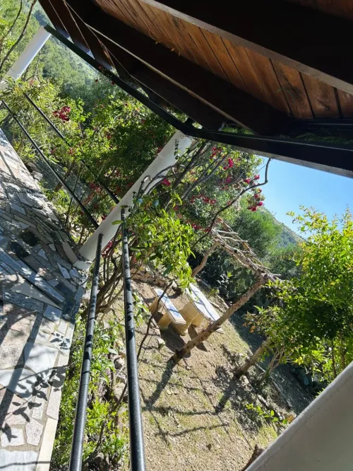 Location vacances Villa Tipaza Hadjeret ennous