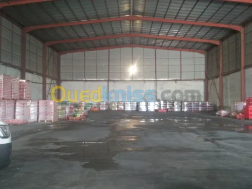 Location Hangar Mostaganem Mostaganem