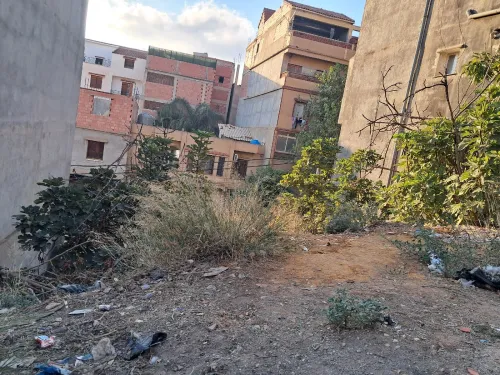 Vente Terrain Alger Draria