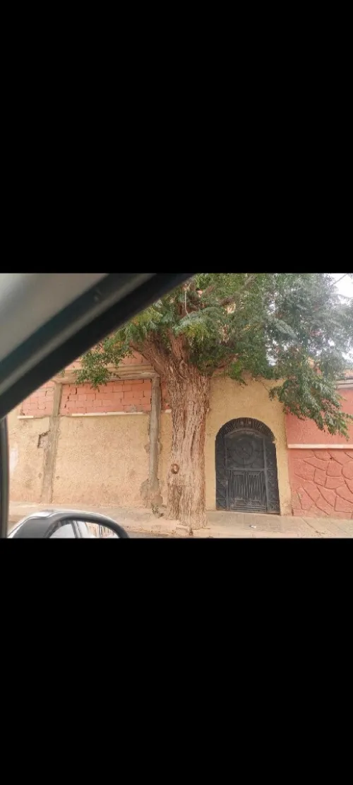 Vente Villa Sidi Bel Abbès Sidi bel abbes