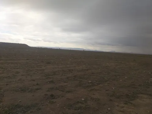 Vente Terrain Agricole Djelfa Ain oussara
