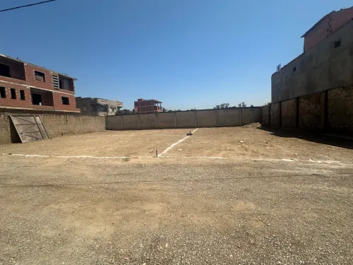 Vente Terrain Alger Ouled chebel