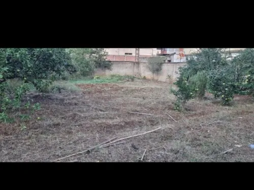 Vente Alger Birkhadem
