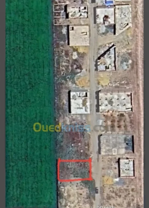 Vente Terrain Chlef Oued fodda
