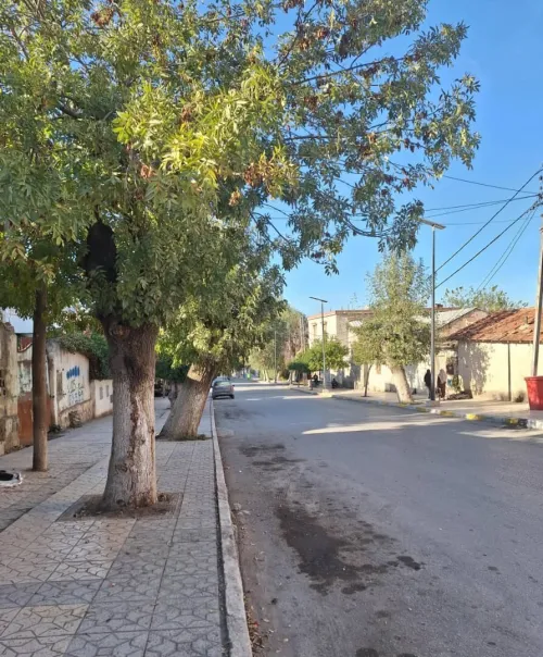 Vente Terrain Constantine Ibn ziad