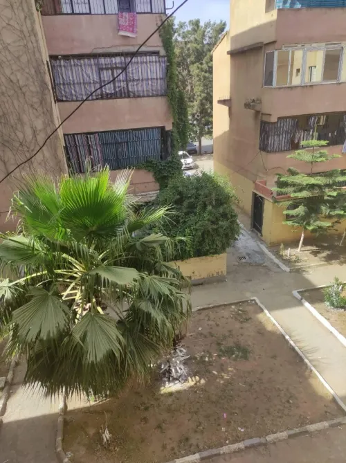 Vente Appartement F3 Alger Ain taya