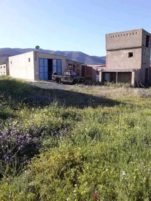 Vente Terrain Batna Chemora