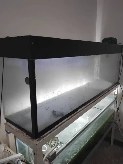 Aquarium 