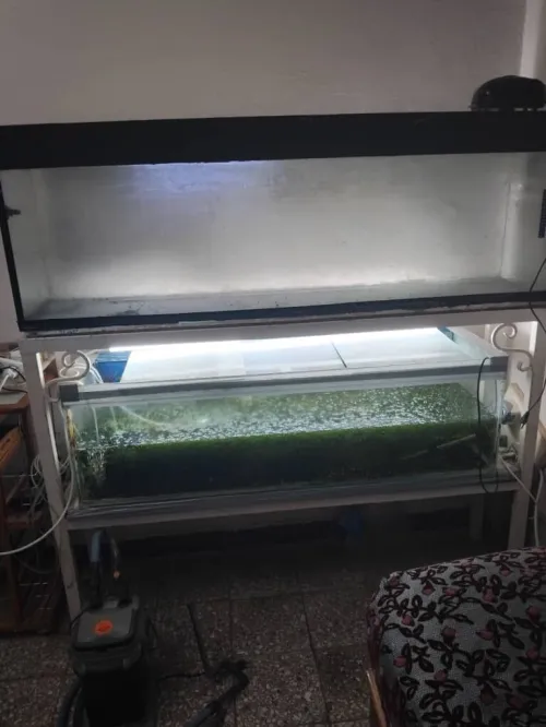 Aquarium 