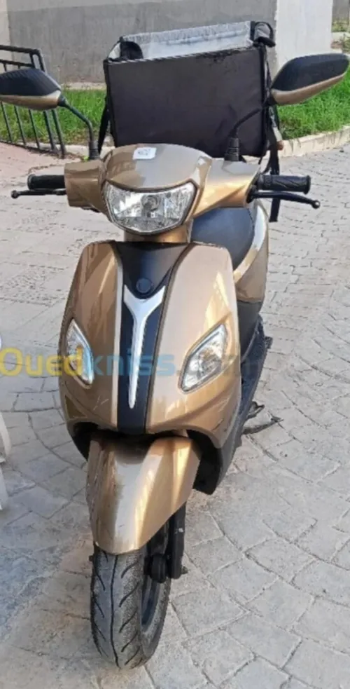 QVms Joci 2023