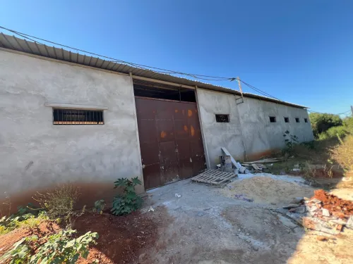 Location Hangar - Usine Alger Saoula