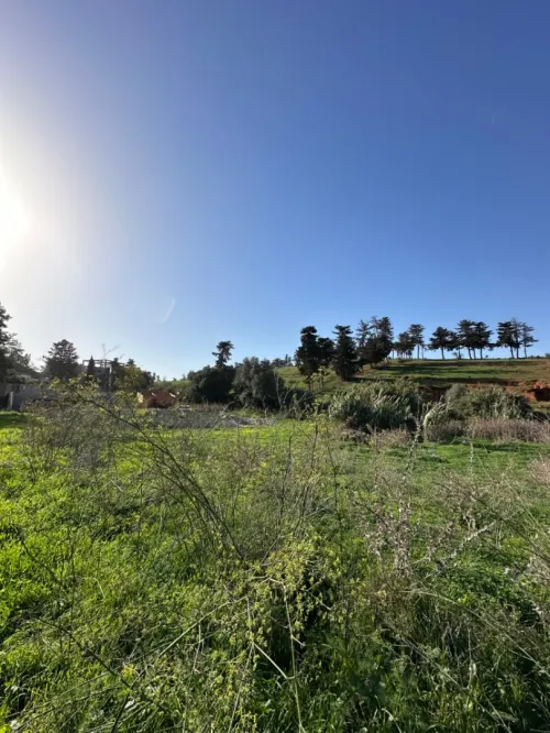 Vente Terrain Alger Saoula