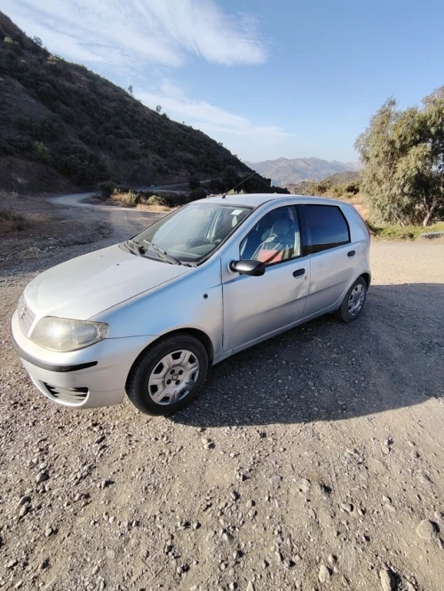 Fiat Punto 2010 Classic