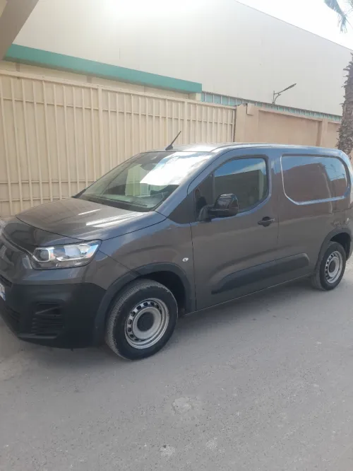 Fiat Doblo 2024 Professionnel