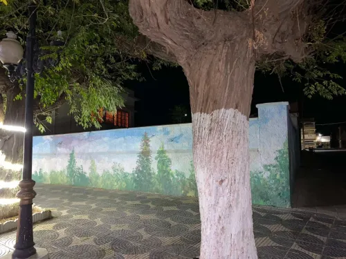 Vente Villa Sidi Bel Abbès Sidi ali boussidi