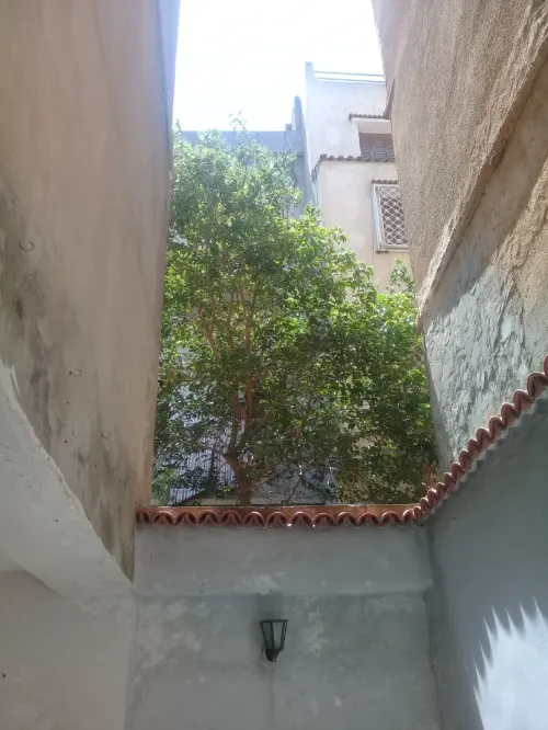 Vente Appartement F17 Alger Dely brahim