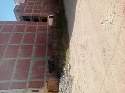 Vente Terrain Jijel Jijel