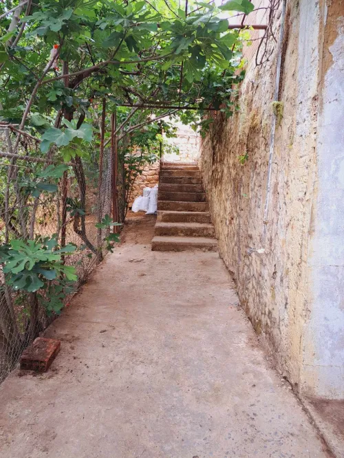Vente Terrain Medea Medea