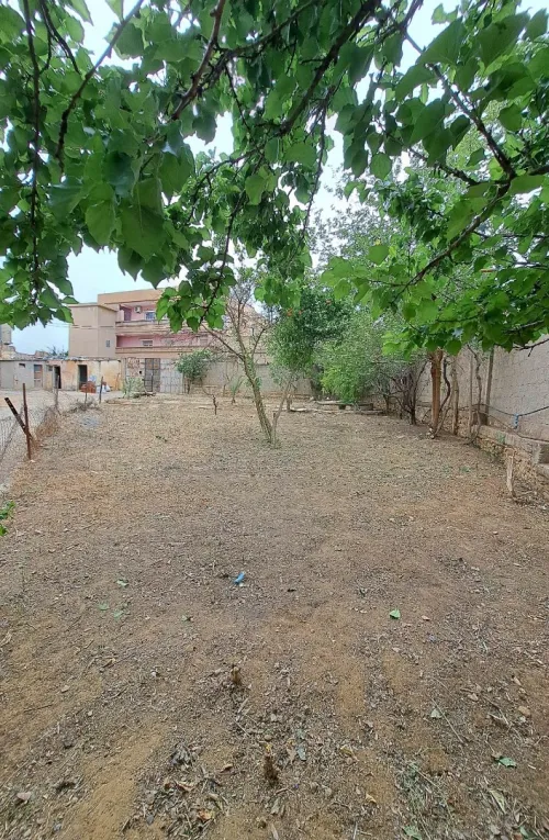 Vente Terrain Medea Medea