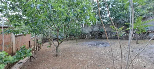 Vente Terrain Medea Medea