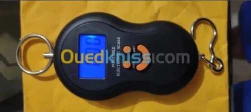 Balance numérique bagage 50kg max