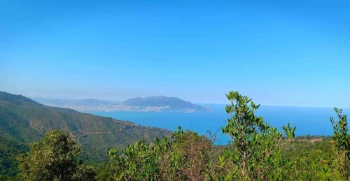 Vente Terrain Bejaia Tichy
