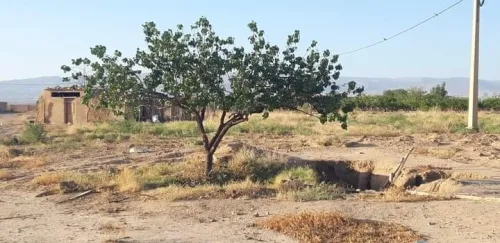 Vente Terrain Agricole M'Sila Msila