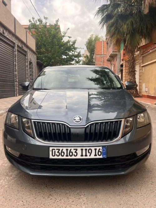 Skoda Octavia 2019 Business