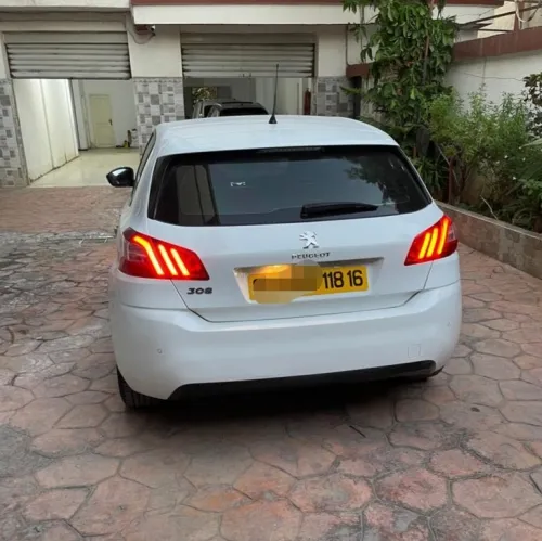 Peugeot Activ 2018 Baz clim