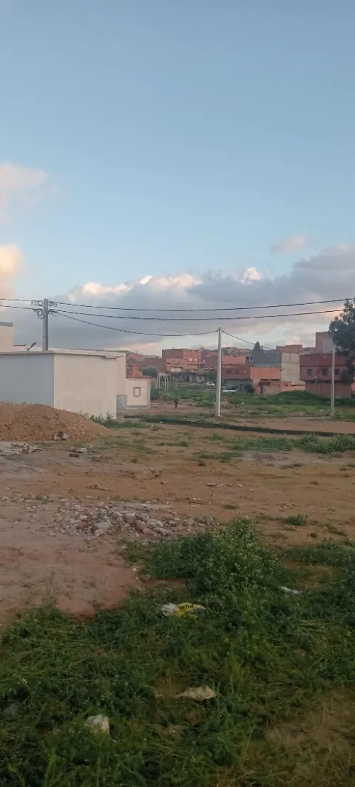 Vente Terrain Saïda Saida