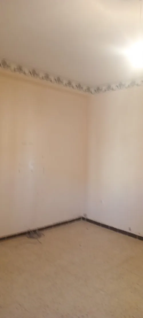 Vente Appartement F3 Saïda Saida