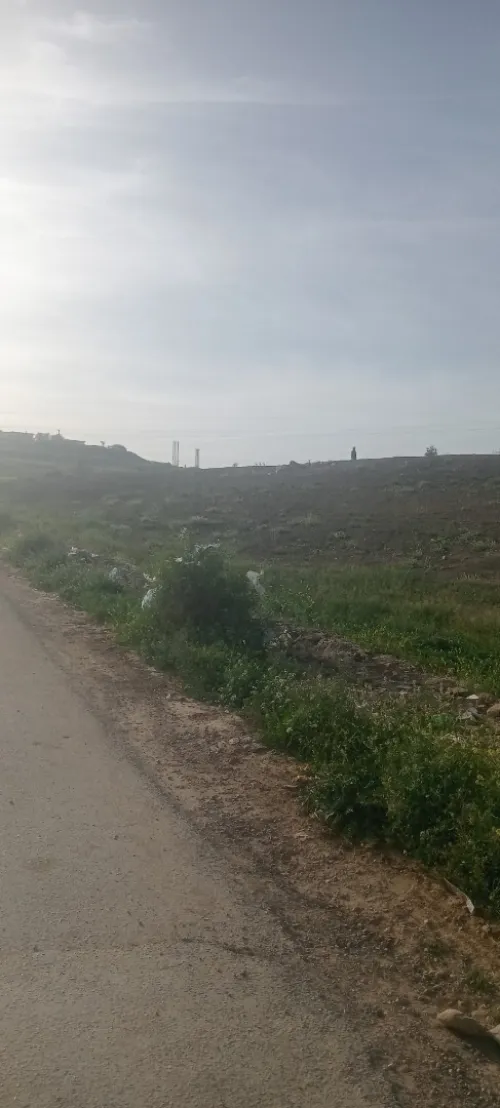 Vente Terrain Saïda Saida
