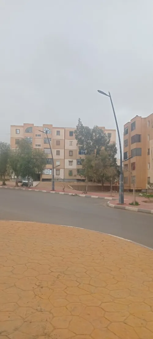 Vente Appartement F3 Saïda Saida