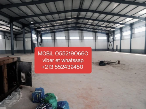 Location Hangar Alger Douera