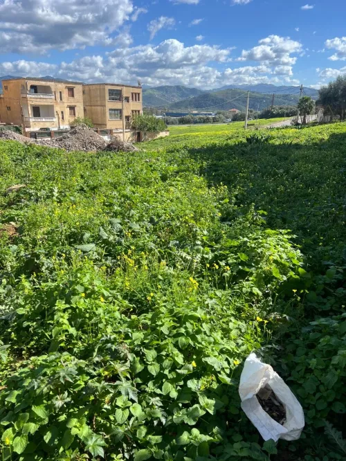 Vente Terrain Béjaïa El kseur